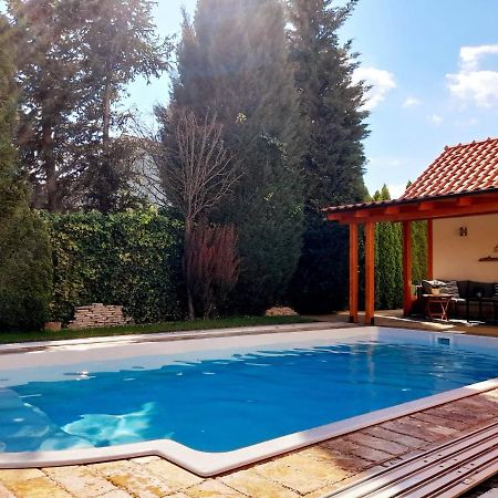 Canadian Style House With 3D Effect Pool Vinosady Exterior photo